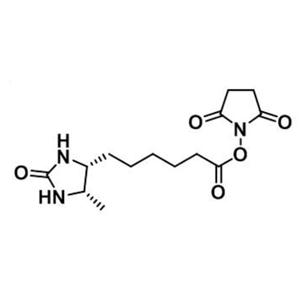 脫硫生物素-琥珀酰亞胺酯,Desthiobiotin NHS Ester