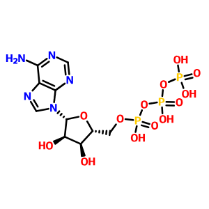 三磷酸腺苷