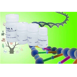 Recombinant Rat Lymphotactin/XCL1