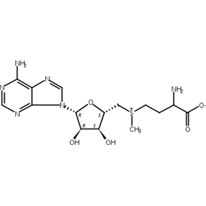 S-腺苷蛋氨酸