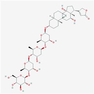 去乙酰毛花苷