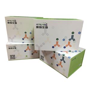 尿調(diào)蛋白(UMOD)檢測(cè)試劑盒（ ELISA 方法）