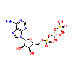 5'-三磷酸腺苷