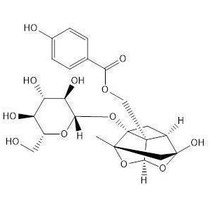 氧化芍藥苷;羥基芍藥苷;39011-91-1;Oxypaeoniflorin