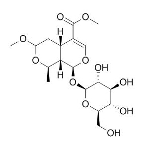 7-O-甲氧基莫諾苷;7-O-Methyl morroniside;CAS:41679-97-4