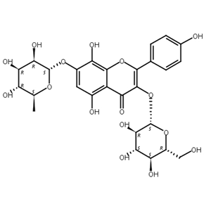 草質(zhì)素-3-O-β-D-吡喃葡萄糖-7-O-α-L-鼠李糖苷