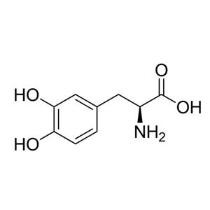 供應(yīng)商左旋多巴原料藥生產(chǎn)廠家59-92-7保健品功效作用