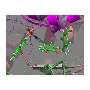 分子對接