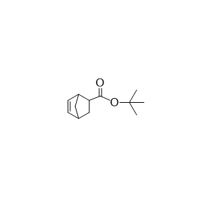 5-降冰片烯-2-羧酸叔丁酯