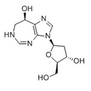 噴司他??；脫氧助間型霉素；噴妥司汀