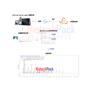 多肽鑒定_質(zhì)譜分析