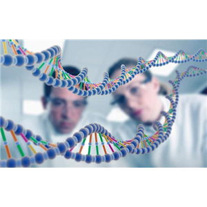 therapeutics-n-terminal-sequence