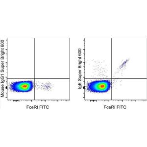 Mouse Anti-Human IgE Antibody