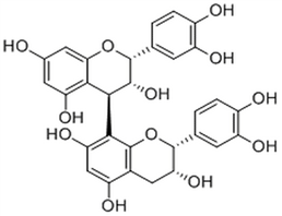 Procyanidin B2