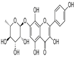 Rhodionin