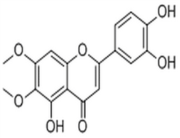 Cirsiliol