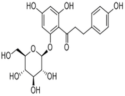 Phlorizin