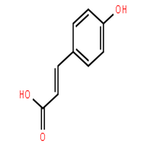 對(duì)羥基肉桂酸