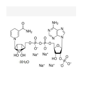 還原輔酶Ⅱ四鈉鹽