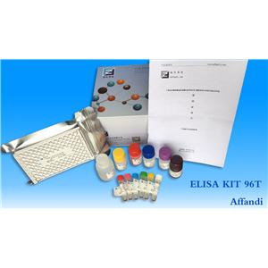 FOR Homeobox protein engrailed-2 ELISA Kit