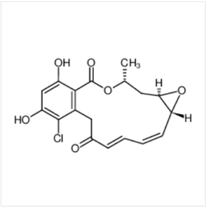 根赤殼菌素