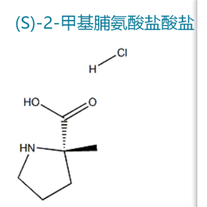 (S)-2-甲基脯氨酸鹽酸鹽