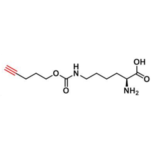 N-戊炔氧羰基]-賴氨酸，N-Pentyn1yloxycarbonyl]-L-lysine