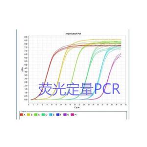 絲狀網(wǎng)尾線蟲探針法熒光定量PCR試劑盒