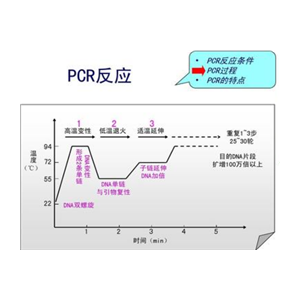 網(wǎng)尾線蟲通用探針法熒光定量PCR試劑盒