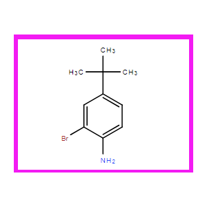 2-溴-4-叔丁基苯胺