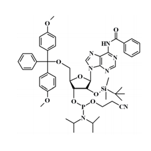 N-苯甲?；?5'-O-(4,4-二甲氧基三苯甲基)-2'-O-[(叔丁基)二甲基硅基]腺苷-3'-(2-氰基乙基-N,N-二異丙基)亞磷酰胺