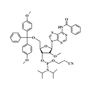 N-苯甲酰基-5'-O-(4,4-二甲氧基三苯甲基)-2'-O-甲基腺苷-3'-(2-氰基乙基-N,N-二異丙基)亞磷酰胺