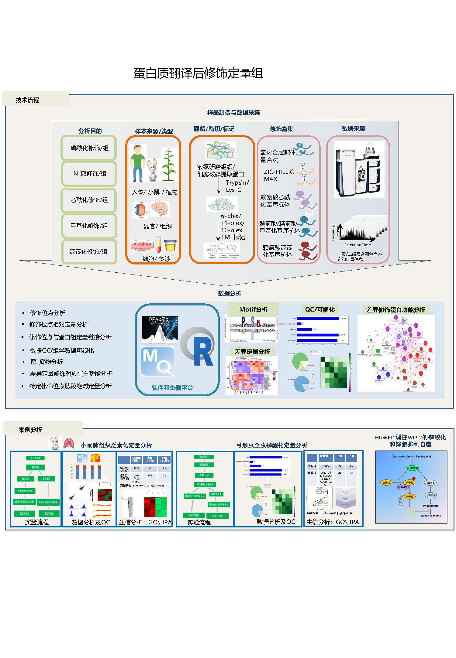 蛋白質(zhì)翻譯后修飾定量咨蛋白組學服務.jpg