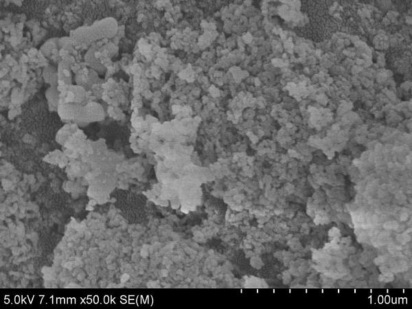 Al2O3_Nanopowder_1320DL(1).jpg