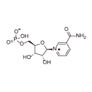 β-煙酰胺單核苷酸