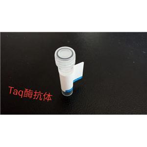 Taq酶抗體