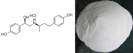 萊克多巴胺及其分子結(jié)構(gòu)式