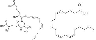 白三烯和花生四烯酸分子結(jié)構(gòu)式