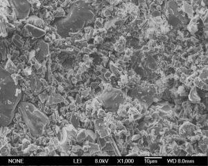 Boron Powder SEM