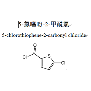 5-氯噻吩-2-甲酰氯