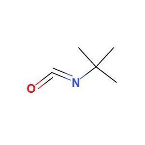 叔丁基異氰酸酯
