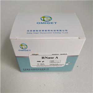 RNase A (核糖核酸酶A)