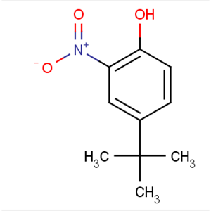 鄰硝基對(duì)叔丁基苯酚
