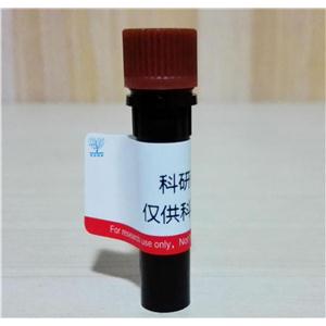 Diazo Biotin-PEG3-Azide,Diazo Biotin-N3,重氮生物素-疊氮化物