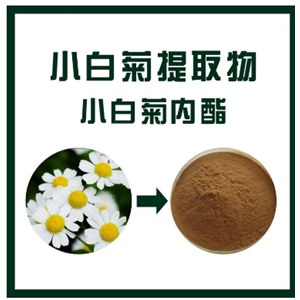 小白菊提取物