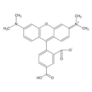5-羧基四甲基羅丹明，5-TAMRA