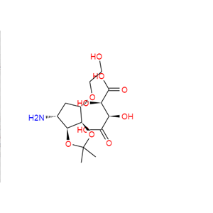 替格瑞洛側(cè)鏈1