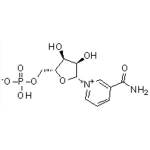 β-煙酰胺單核苷酸