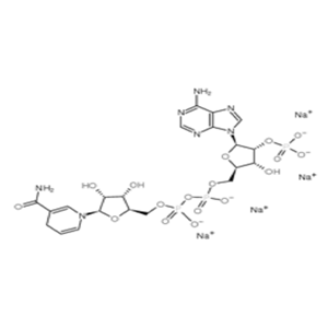 β-煙酰胺腺嘌呤二核苷酸磷酸還原型