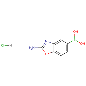 (2-氨基-1,3-苯并惡唑-5-基)硼酸鹽酸鹽